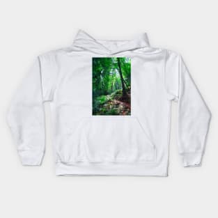Sunlight And The Trail Kids Hoodie